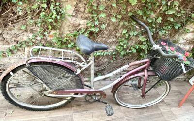 bici1-2