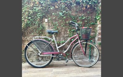bici2-3