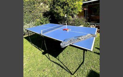 mesaPingPong1-1