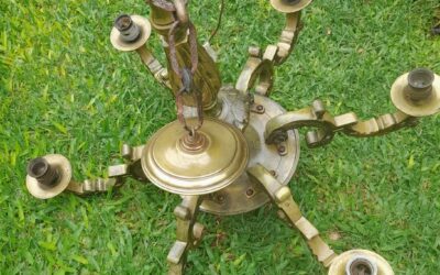 Arana-de-bronce-1