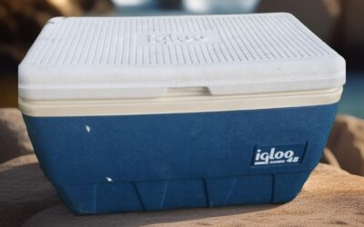 cons-Igloo-1