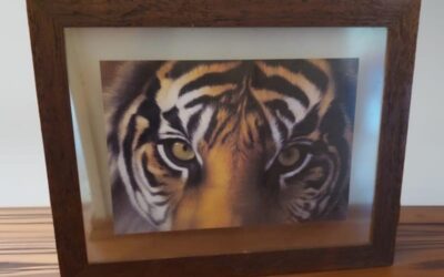 cuadro tigre