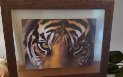 tigre
